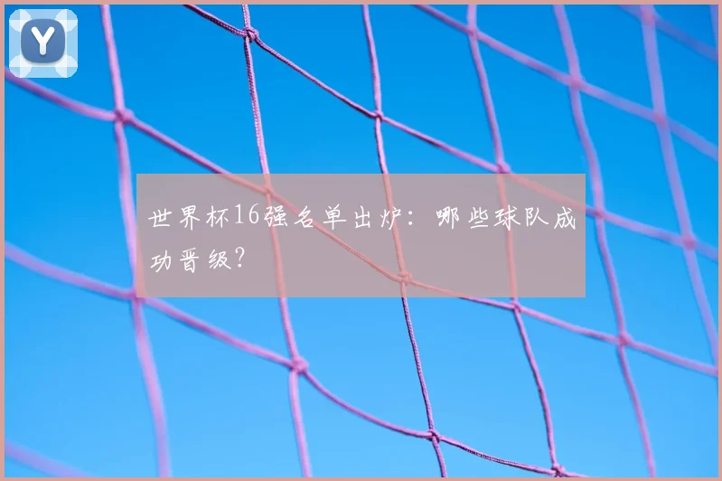 世界杯16强名单出炉:哪些球队成功晋级?