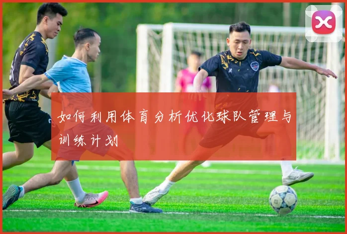 如何利用体育分析优化球队管理与训练计划