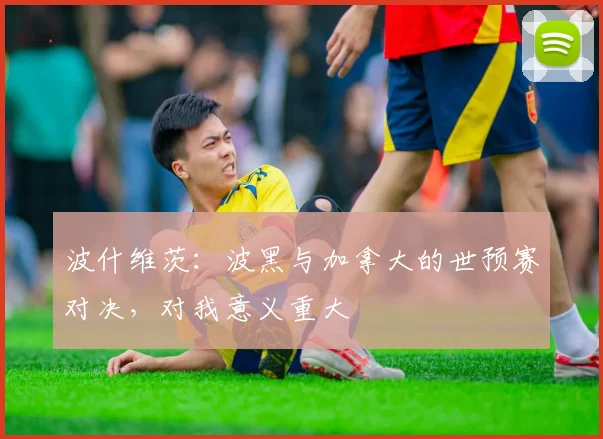波什维茨：波黑与加拿大的世预赛对决，对我意义重大